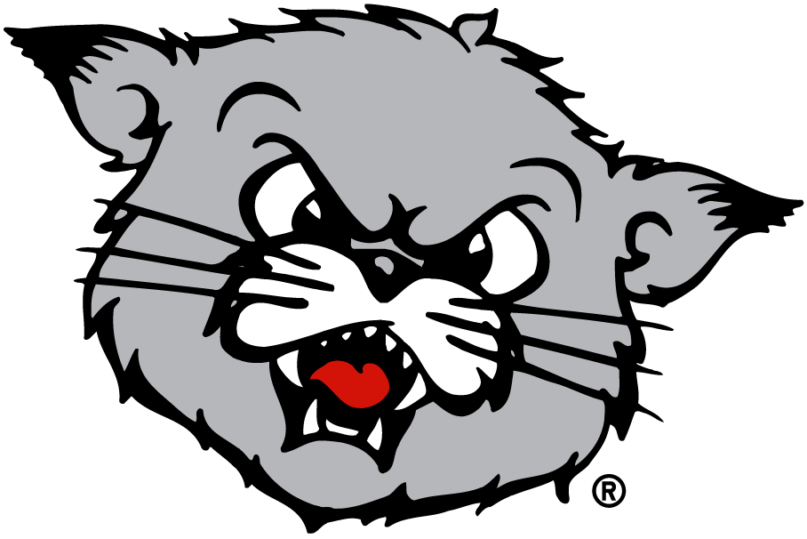Cincinnati Bearcats 1990-2005 Partial Logo iron on transfers for T-shirts